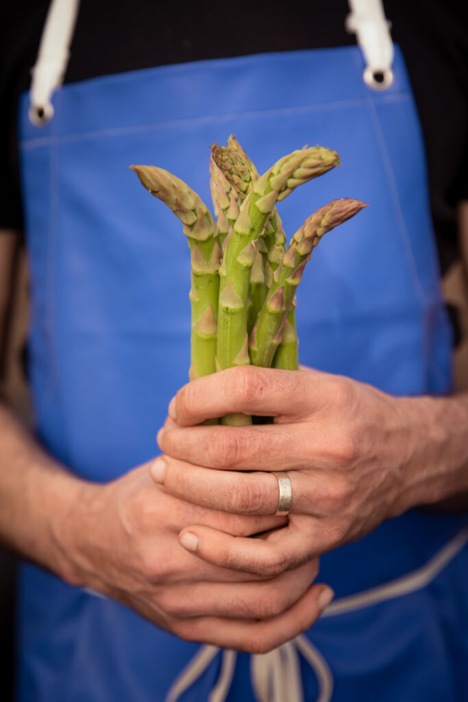 De Lierse asperges - Vers uit het zand, recht naar de klant!